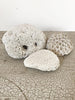Gorgeous Trio Vintage Coral - Decorative Antiques UK  - 1