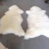 Genuine Ivory Sheepskin Rug - Decorative Antiques UK  - 2