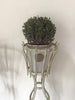 Pair of Vintage French Iron Tall Planters with lions claw feet - Decorative Antiques UK  - 3