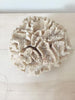 Collection Vintage Sea Coral - Decorative Antiques UK - 3