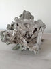 Large Rare Vintage Cabbage Coral - Decorative Antiques UK  - 3