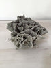 Large Rare Vintage Cabbage Coral - Decorative Antiques UK  - 4