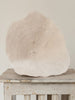 Beautiful Collection of Vintage "Elephant Ear Mushroom" Coral - Decorative Antiques UK - 8