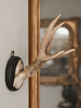 Collection of Antique Roe deer antlers mounted on circular shields - Decorative Antiques UK - 1
