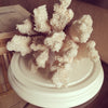 Beautiful Vintage Coral Piece - Decorative Antiques UK  - 4