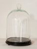 Collection Vintage Glass Cloches/Domes - Decorative Antiques UK - 4