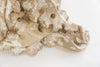 Antique French Reclaimed Plaster Corbels