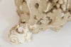 Antique French Reclaimed Plaster Corbels