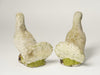 Pair Vintage Garden Stone Doves