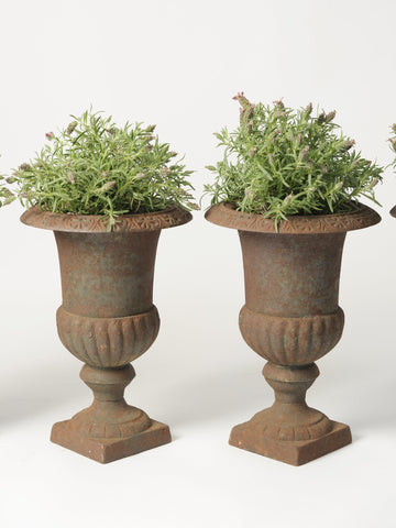 Collection Small Vintage French Cast Iron Urns
