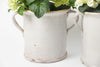 Antique Italian White Confit Pots with yellow rim