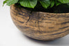 Antique Swedish Root Knot Bowl