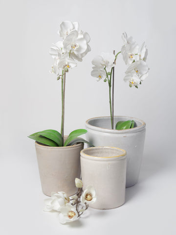 Collection antique 19th Century Italian confit pots in 3 sizes