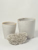 Antique Italian White Confit Pots