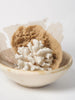 Natural Vintage Sea Sponge