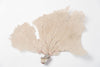 Natural Sea Fan Coral with cream/lilac colouring