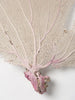Natural Sea Fan Coral with cream/lilac colouring