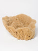 Natural Vintage Sea Sponge