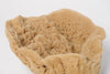 Natural Vintage Sea Sponge