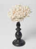 Vintage white coral on stand