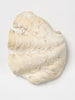 Vintage Clam Shell