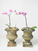 Beautiful Pair 19th Century French Marble Urns