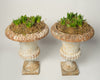 Antique French Cast Iron Medici Urns, original paint
