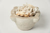 Amazing Large Size White Stone Mortar