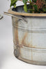 Vintage Galvanised Zinc Bath Planters