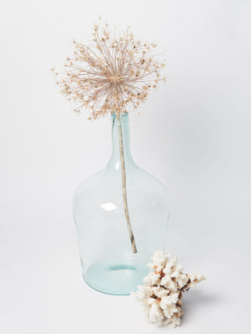 Antique French Carboy Demi john