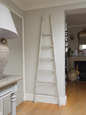 Antique French Fruit Pickers ladder