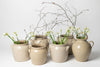 Collection Vintage French Confit and Cruche pots from the Digoin region