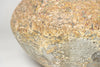 Beautiful barnacled terracotta jar lamp with handles and linen shade