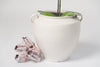 Antique French White Glazed confit pot from Toulouse