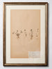 Framed 19th Century Swedish Herbarium