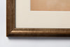 Framed 19th Century Swedish Herbarium