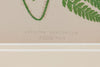 Antique 19th Century Fern lithograph prints in gilt bamboo frames