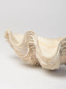 Beautiful Vintage Clam Shell