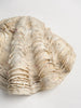 Beautiful Vintage Clam Shell