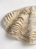 Beautiful Vintage Clam Shell