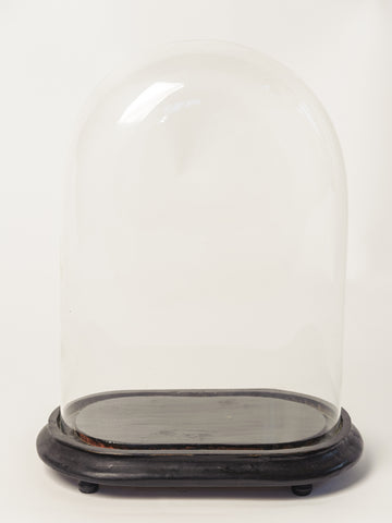 Antique French Oval Display dome on original base