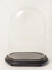 Antique French Oval Display dome on original base