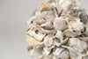 Decorative Oyster Shell Balls