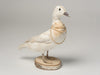 Beautiful Rare Taxidermy Albino Mandarin Duck