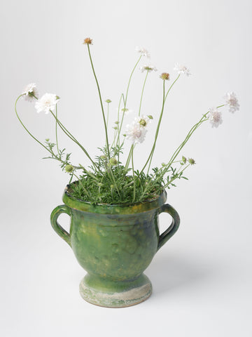 Antique French Provencal Green Confit Pot