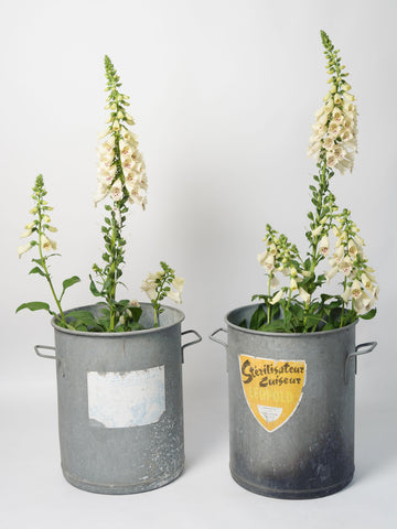 Vintage French Galvanised Zinc Steriliser Buckets