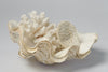 Beautiful Vintage Clam Shell