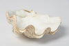 Beautiful Vintage Clam Shell