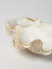 Beautiful Vintage Clam Shell