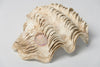 Beautiful Vintage Clam Shell